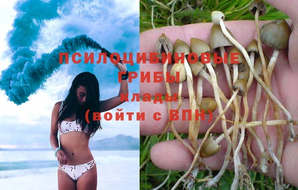 дурь Бронницы