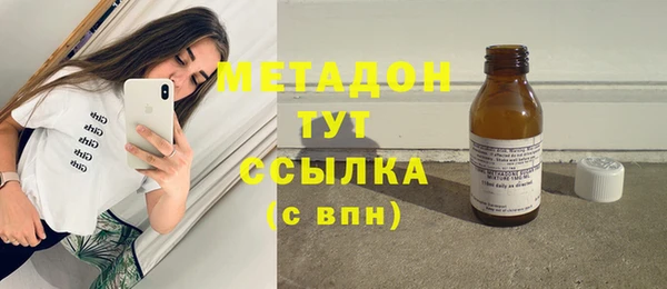 сатива Бородино