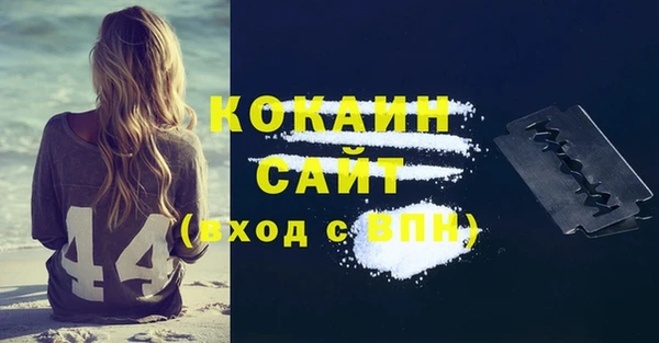 сатива Бородино