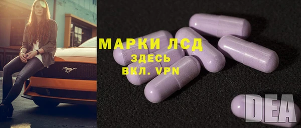 сатива Бородино