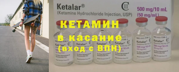 сатива Бородино