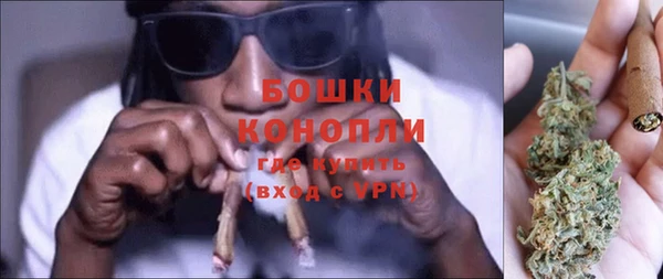 дурь Бронницы
