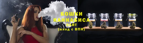дурь Бронницы