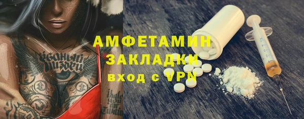 сатива Бородино