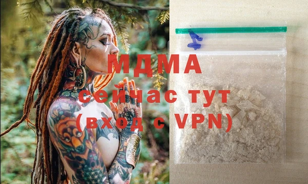 сатива Бородино