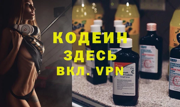 сатива Бородино