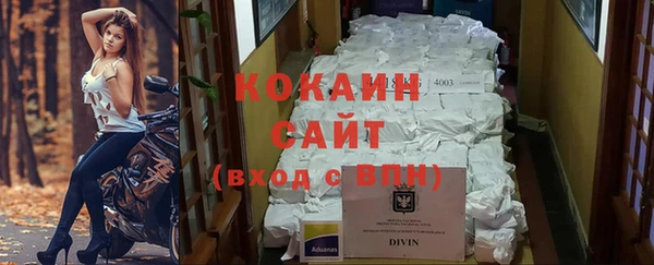 сатива Бородино